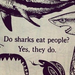 Meet your Posher, Annie